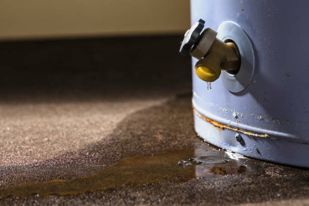 Best 24-hour water damage restoration  in Avoca, IA