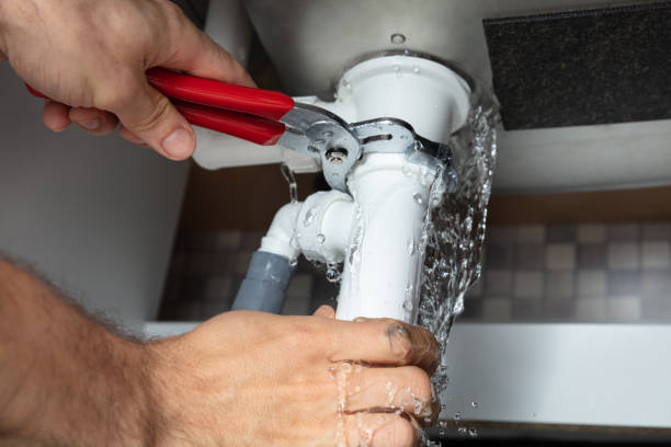 Best Water damage repair service  in Avoca, IA