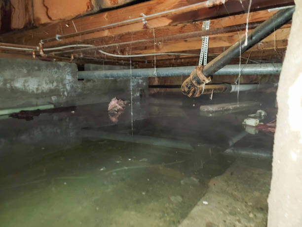 Water damage restoration process in Avoca, IA