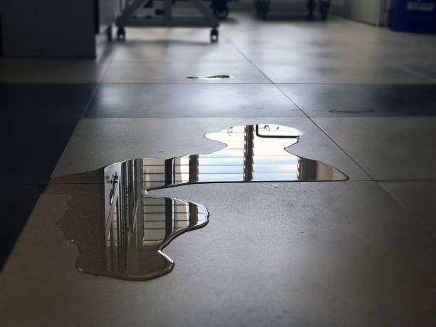 Best Emergency water damage restoration  in Avoca, IA