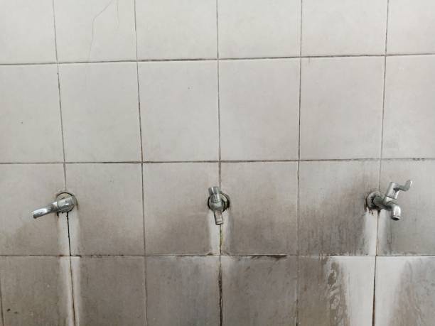 Best Carpet water damage restoration  in Avoca, IA