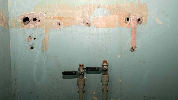 Best Water damage cleanup near me  in Avoca, IA